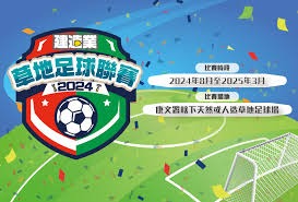 哈兰德强调2026世界杯的重要性与谦逊态度